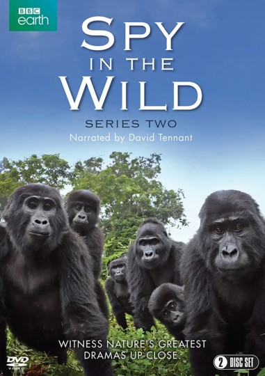 Spy in the Wild Season 2